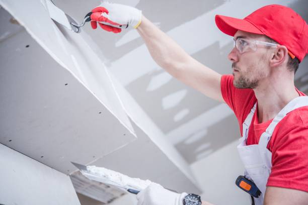 Best Ceiling Drywall Installation  in Apple Mountain Lake, VA